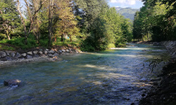 renaturacija